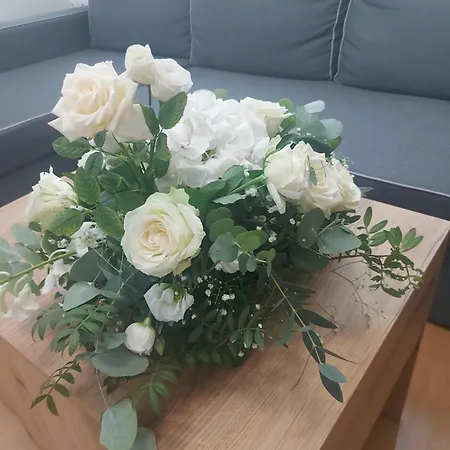 μ&σ στούντιο 2 *